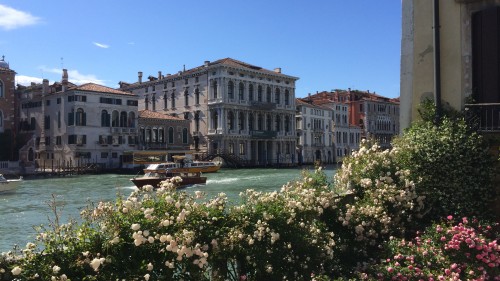 Wildes Venedig