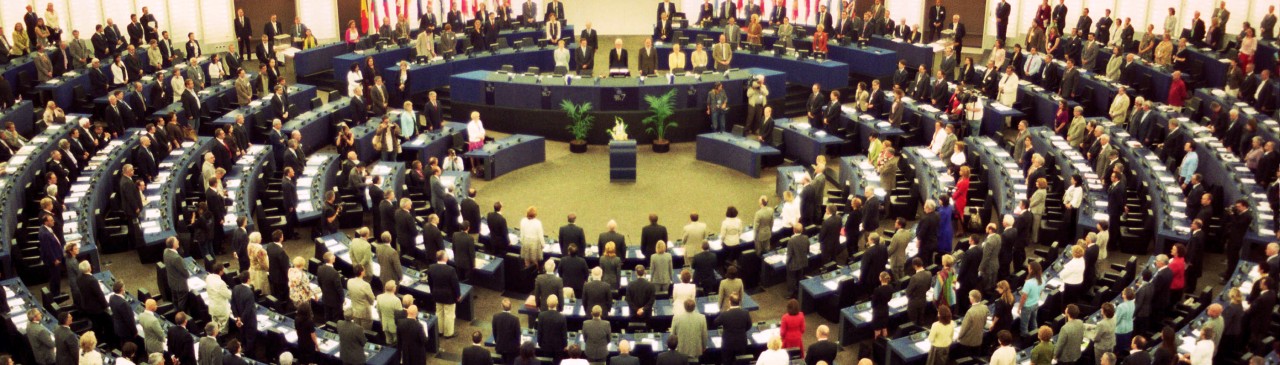 Das Europäische Parlament