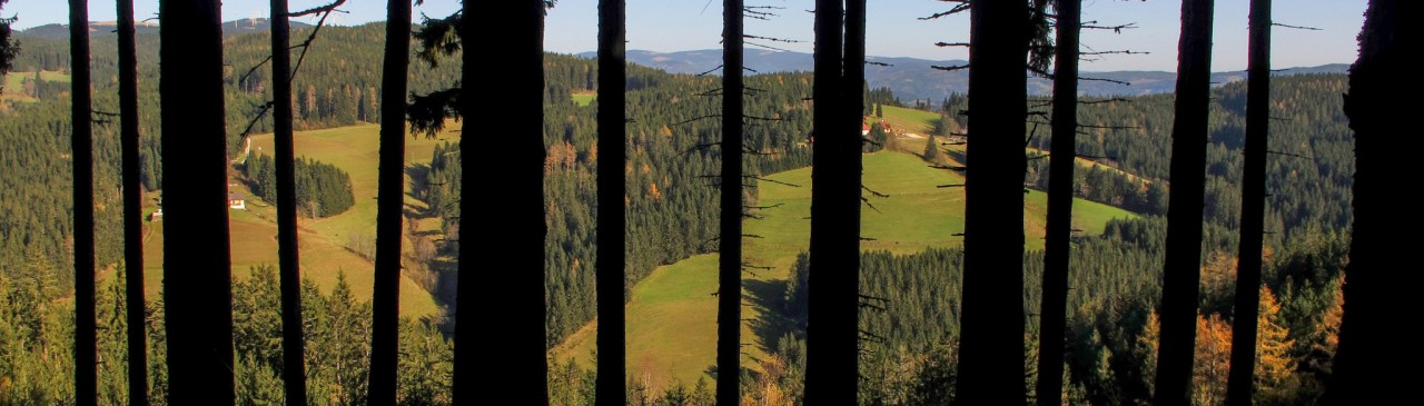 Der Wandel des alpinen Raums am Beispiel von Roseggers Waldheimat