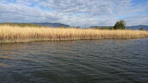Bodensee