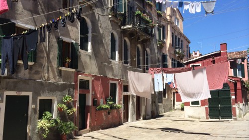 WILD VENICE