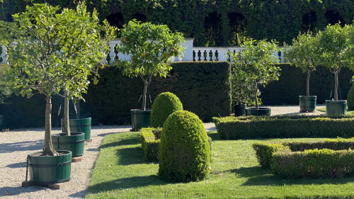 SCHÖNBRUNN