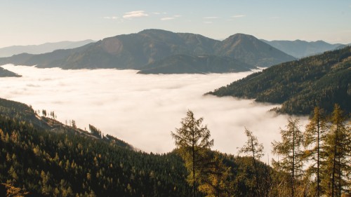 Der Wandel des alpinen Raums am Beispiel von Roseggers Waldheimat
