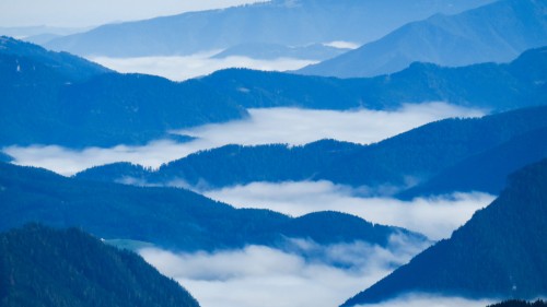 Ein Jahr im Zauberwald