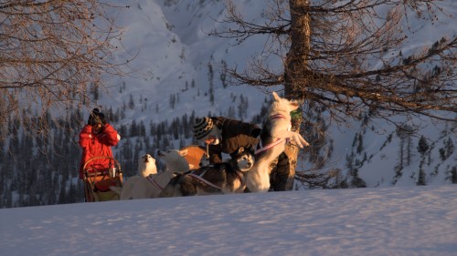 Leise rieselt der Schnee