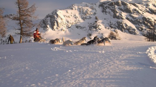 Leise rieselt der Schnee