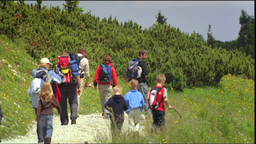 Der Wandel des alpinen Raums am Beispiel von Roseggers Waldheimat