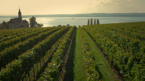 Der Bodensee 